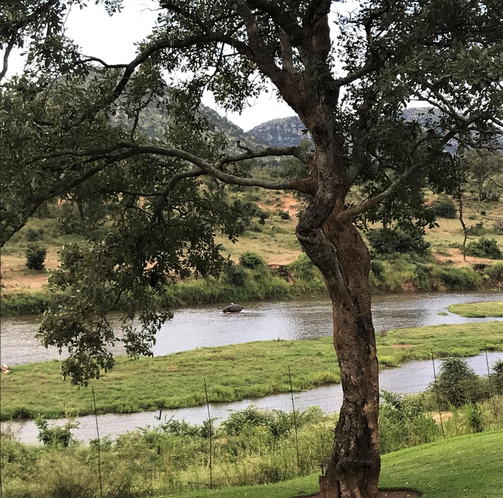 Appartamento Goedehoop Boutique Manor House Malalane Esterno foto